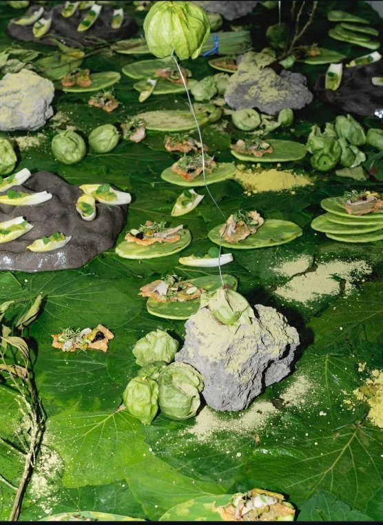 Green leaves and food